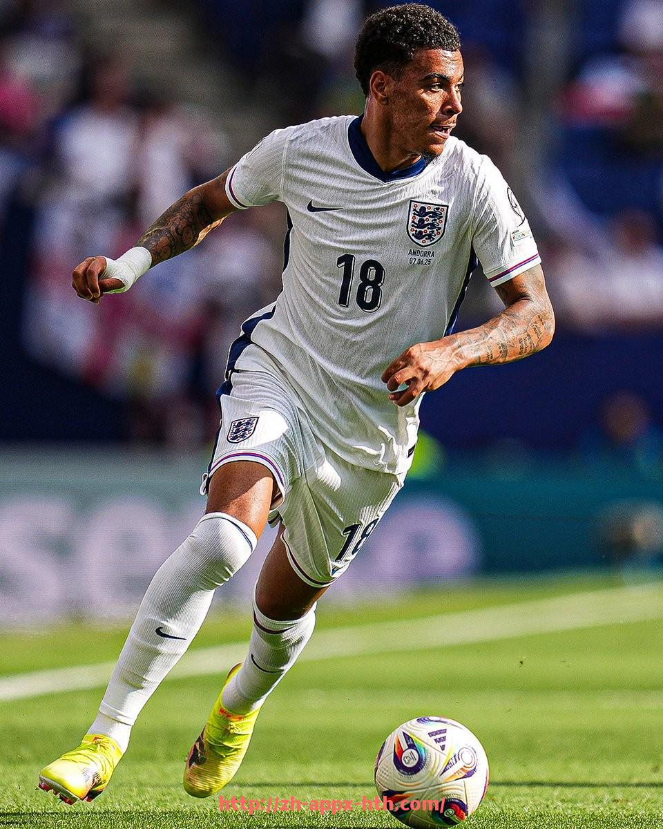 华体会hth官方网站下载-法甲球员评估机制揭秘：技术能力与市场价值双重考量